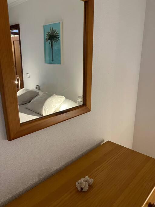 דירות סנטה קרוז דה טנריף Cozy מראה חיצוני תמונה